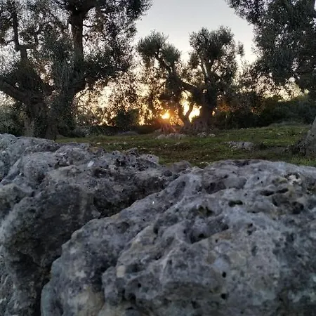 Nyaraló Verde